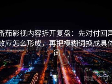番茄影视内容拆开复盘：先对付回声效应怎么形成，再把模糊词换成具体词